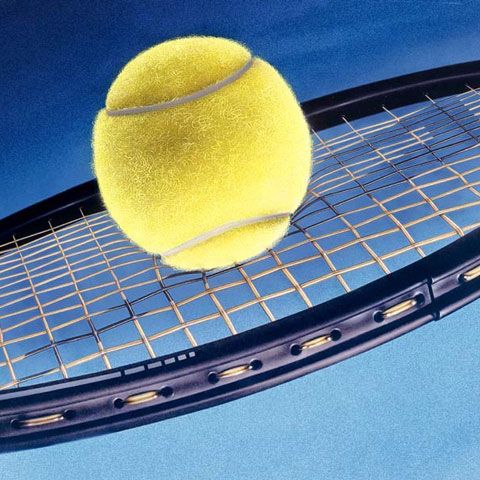 Tenis - Niculescu şi Dulgheru au urcat câte un loc în clasamentul WTA