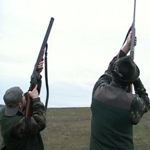 Pe 21 iulie a avut loc licitaţia pentru fondul de vânătoare de la Balc 