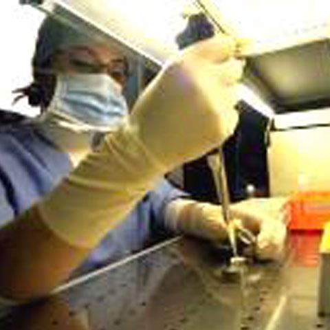 Un controversat ginecolog italian crede că scandalul traficului de ovule din România este un complot