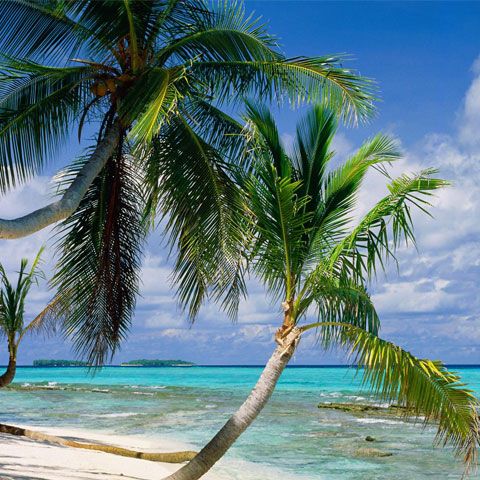 Tuvalu, una dintre cele mai mici ţări din lume, a devenit prima cu zero emisii de carbon