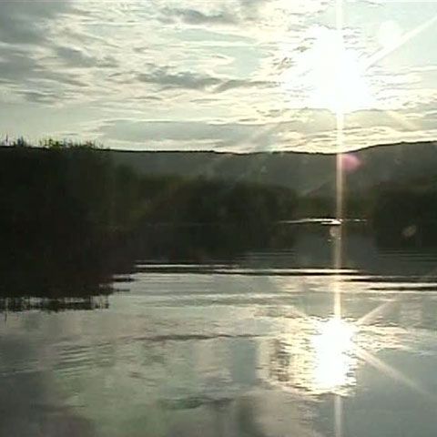 Lacul Ştiucii, Cluj-Napoca, este o mică deltă din mijlocul Transilvaniei