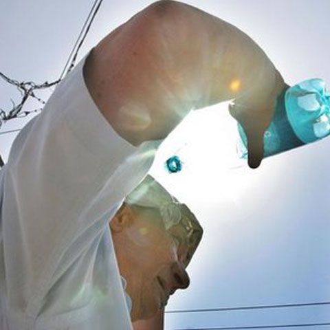 Cele mai mari temperaturi s-au înregistrat joi în vestul, sudul şi estul ţării