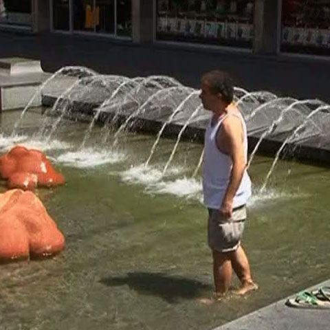 Canicula face ravagii în Europa, cu temperaturi de 46 de grade Celsius