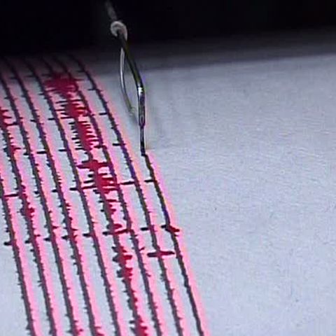 Un cutremur de 4,4 grade pe scara Richter a avut loc vineri seară, în Vrancea