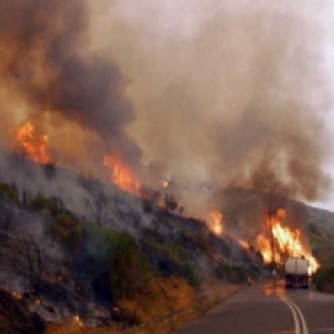 Incendiile fac în continuare ravagii în Franţa şi Italia, în Spania situaţia este sub control