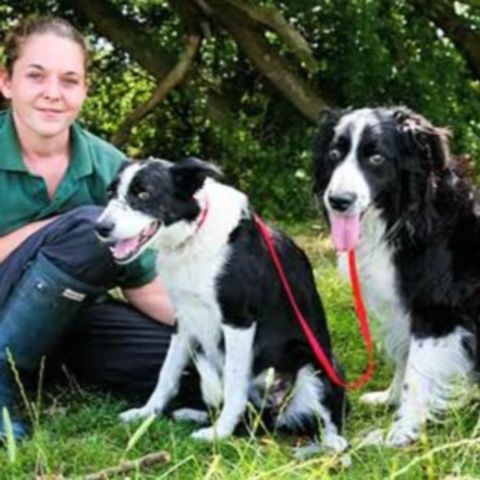 Un câine orb de la un centru din Norfolk are însoţitor un alt câine 