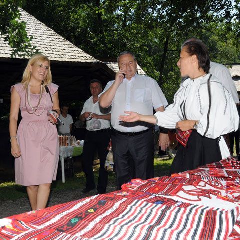 Deputaţii au discutat despre înfiinţarea unei comisii de anchetă în cazul Elenei Udrea