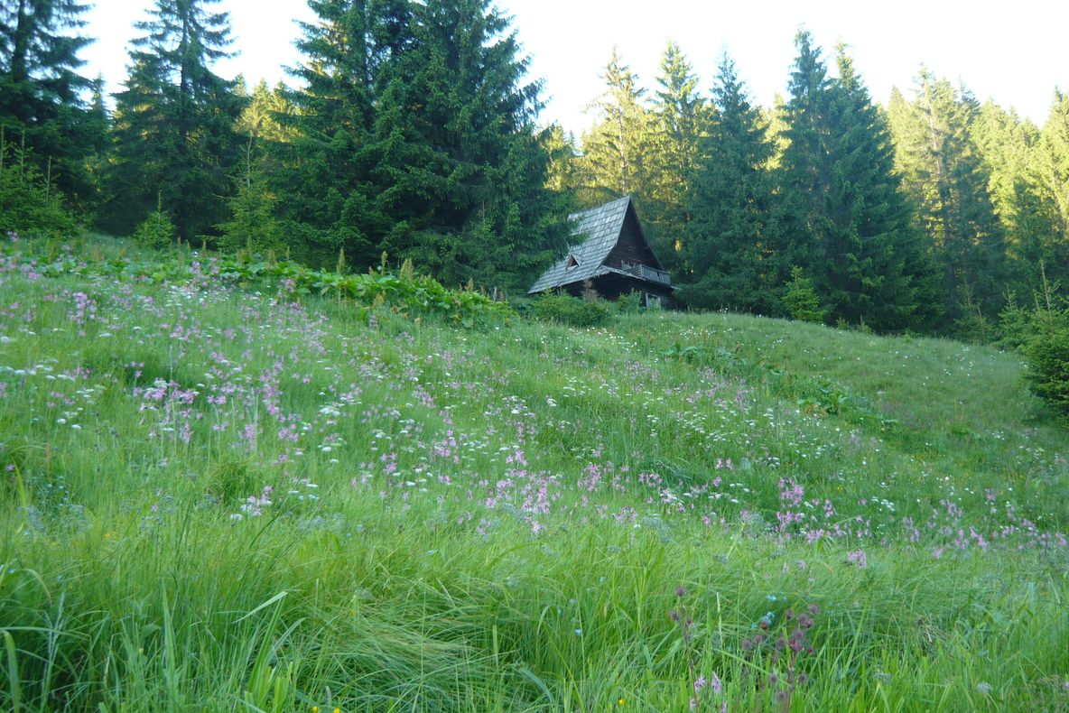 Cheile Bicazului,  Lacul Rosu