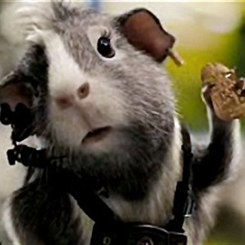 Povestea rozătoarelor din "G-Force" este noul lider în box-office-ul american