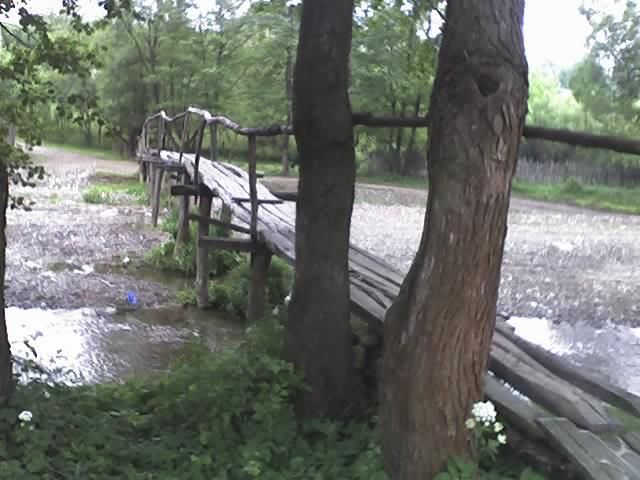 Cea mai frumoasa vacanta