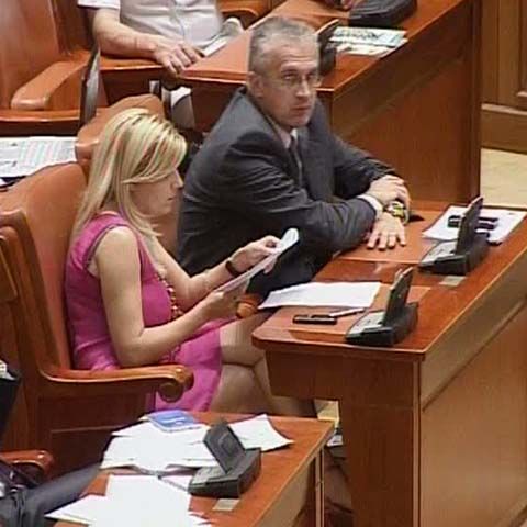 Parlamentarii au renunţat la vacanţă pentru Ridzi, Udrea şi Tăriceanu