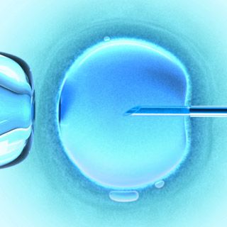 Mafia ovulelor racola fete sărace din licee