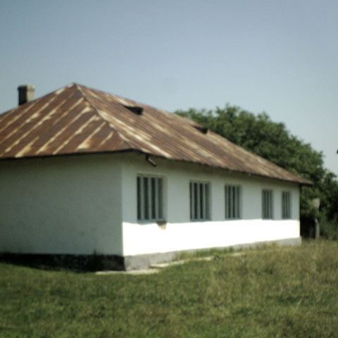 Marius Nistor: Suplinitorii necalificaţi nu pot fi reduşi în totalitate, mediul rural se bazează pe ei