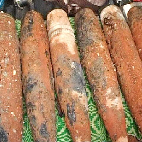 Jumătate de tonă de muniţie a fost descoperită în grădina unei case parohiale la Iaşi