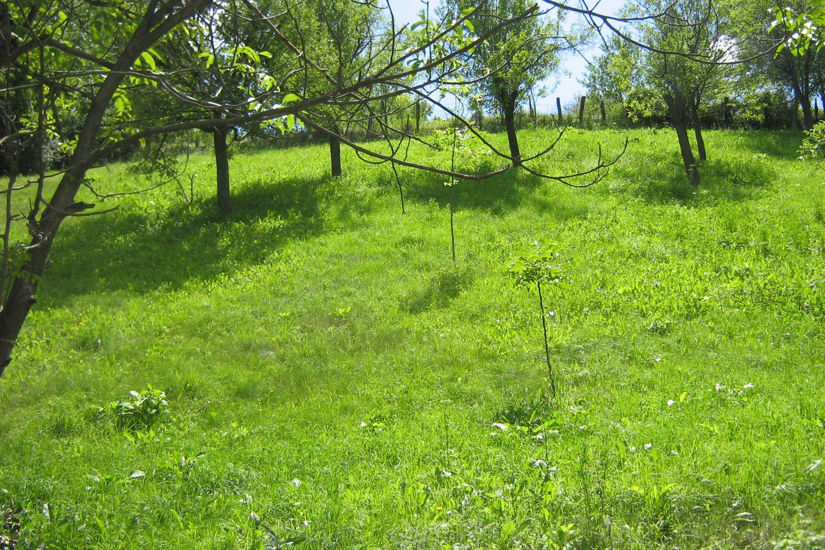 Valea Sarii, Vrancea