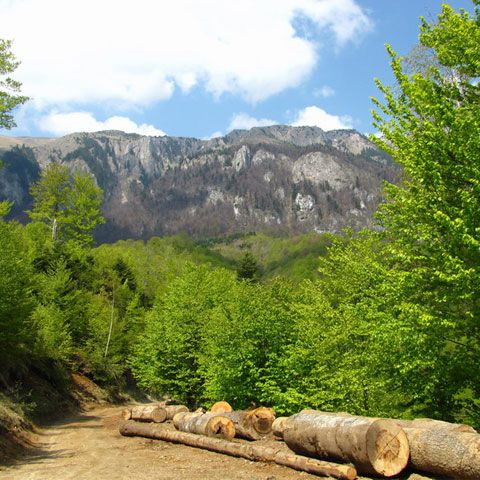 Cele mai grele trasee de alpinism din Europa sunt în Munţii Căpăţânii