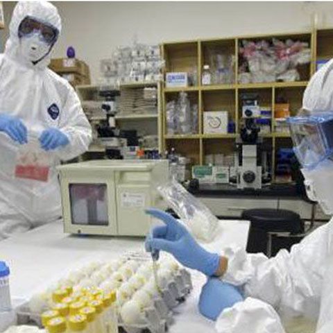 În judeţul Mureş au fost confirmate şapte cazuri de gripă porcină