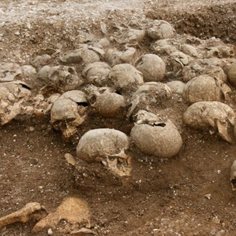 51 de vikingi decapitaţi, îngropaţi timp de 1.000 de ani, au fost descoperiţi în Anglia