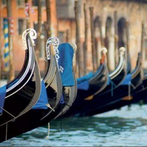 Ediţia 2009 a Festivalului de Film de la Veneţia nu va include nicio producţie românească