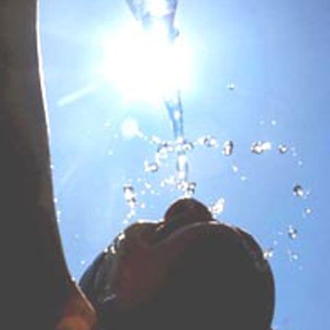 Maximele se apropie de pragul de caniculă, astăzi, în Banat