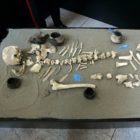 Un schelet vechi de 4500 de ani a fost descoperit pe o plajă, în Roma