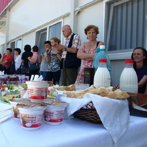 Fermierii bistriţeni îşi fac propriile centre de colectare a laptelui