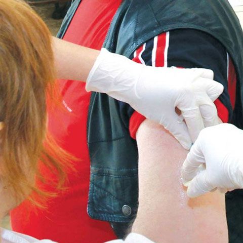 Testele rapide pentru diagnosticarea gripei porcine nu sunt întotdeauna fiabile