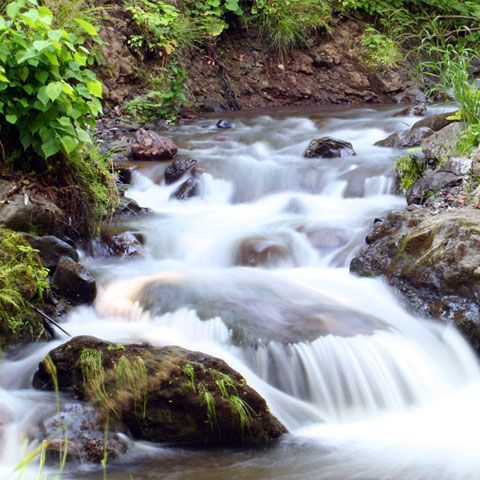 România poate depune proiecte pentru programul Life 2009 până pe 15 septembrie