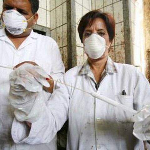 Zece cazuri noi de gripă porcină în România, bilanţul total a ajuns la 209 pacienţi