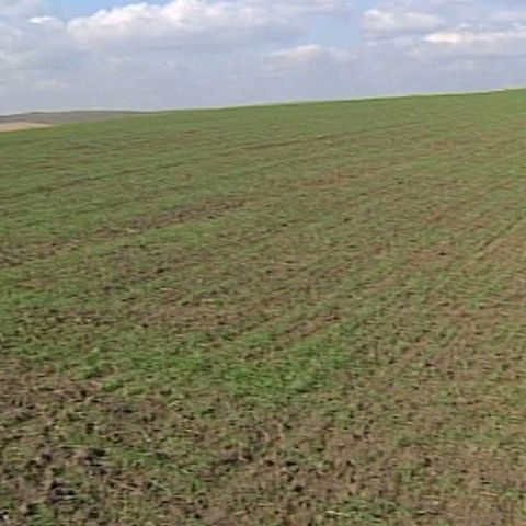 Ministerul Agriculturii le oferă fermierilor o mână de ajutor