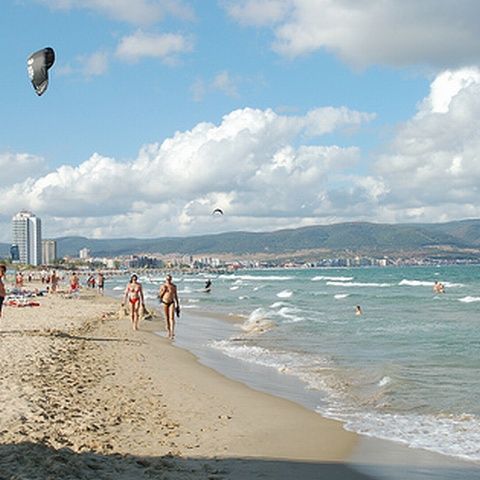 Turiştii, rugaţi să plece de pe plajă la ora 18.00, pentru ca angajaţii DADL să poată strânge algele