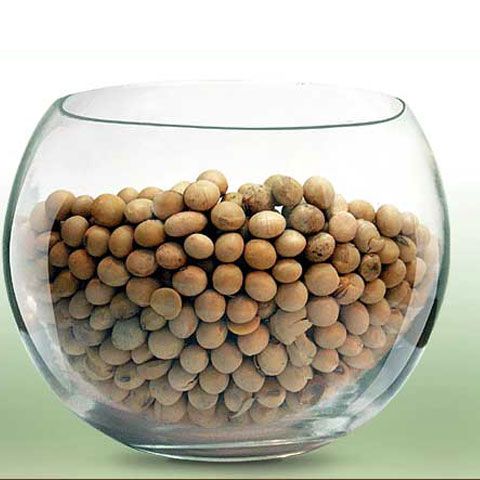 Stil de viaţă sănătos: Carne versus soia