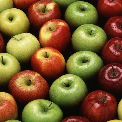 Elevii din clasele I-VIII vor primi gratuit mere în anul şcolar 2009-2010, de circa 12 milioane euro. Cum comentaţi?