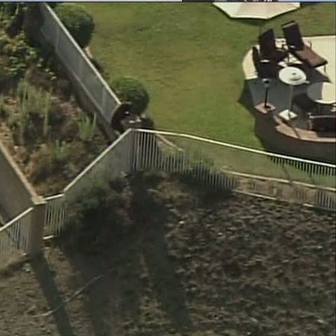 Un urs a traversat mai multe curţi dintr-o suburbie californiană