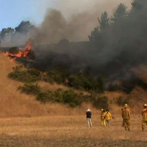 Autorităţile californiene au declarat stare de urgenţă din cauza incendiilor