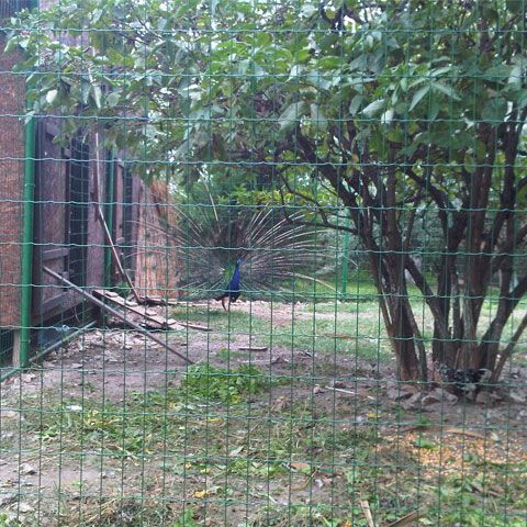 Multă linişte şi puţină istorie pe litoral, la Constanţa