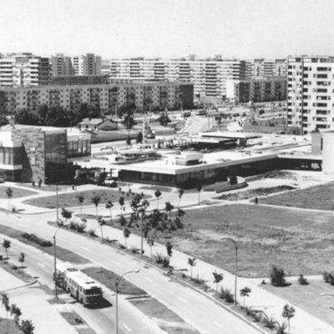 47.000.000 euro vor fi investite în înverzirea cartierelor Militari şi Drumul Taberei 