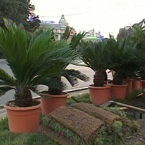 Să vezi ce n-a văzut Parisul, doar la Bucureşti DE RESCRIS