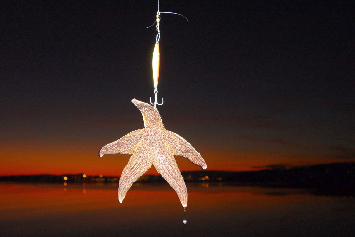 La pescuit în Norvegia