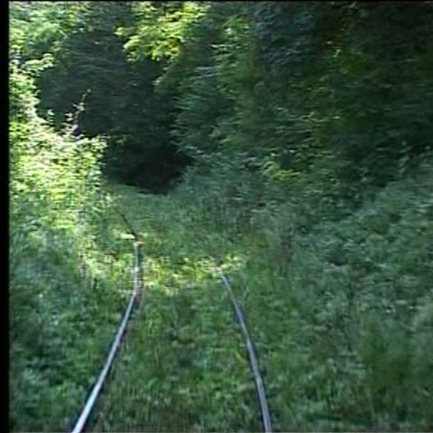 Cea mai veche cale ferată montană din România este încă în funcţiune 