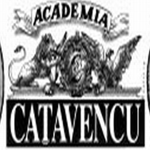 Academia Caţavencu: Publicitatea pentru Mazăre falimentează drumarii Primăriei Constanţa