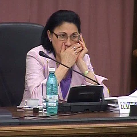 Andronescu preia propunerea lui Miclea de finanţare a învăţământului preuniversitar privat