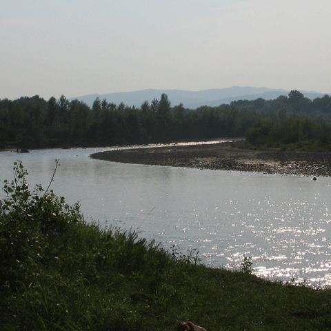 Un patron de pensiune din Buzău este cercetat pentru omor din culpă, după decesul unei turiste 