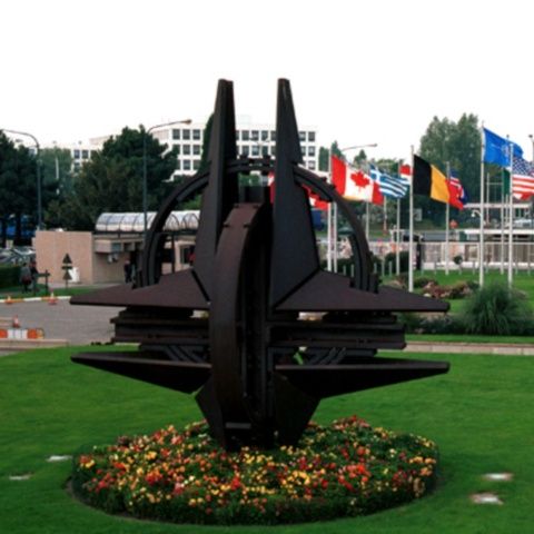 MApN va cheltui peste 270.000 de euro pentru studiile copiilor militarilor detaşaţi în Belgia