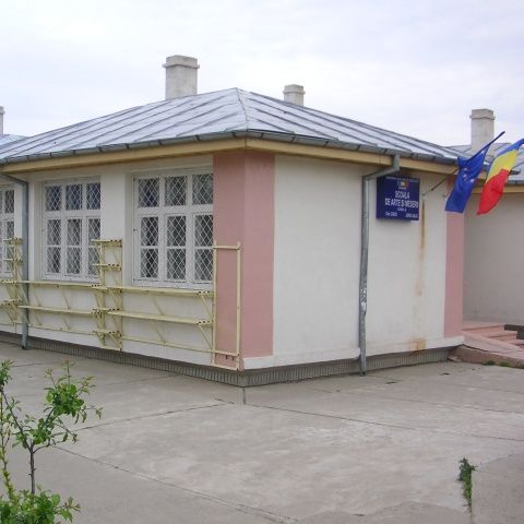 Un adolescent din Canada, sosit în vacanţă în judeţul Galaţi, a fost diagnosticat cu gripă nouă