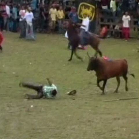 Un columbian a fost ucis de un taur în arenă în timpul unei Corraleja - ATENŢIE, IMAGINI ŞOCANTE!