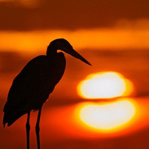 Început de week-end fără ploi