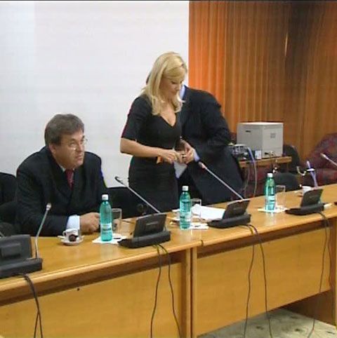 Membrii Comisiei de anchetă au criticat gestul Elenei Udrea de a părăsi lucrările înaintea audierii