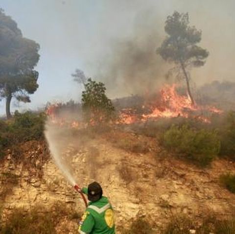 Două incendii majore se înregistrează lângă Atena