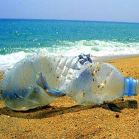 Zilnic, tone de gunoaie sunt strânse de pe plajele româneşti, după plecarea turiştilor 